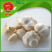 Chinese high quality fresh pure white garlic fresh ginger and garlic